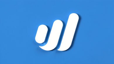 Wave Accounting Review